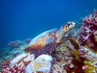 Hotel Charming Holiday Lodge