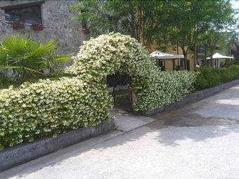 Agroturismo Agriturismo La Locanda Del Gallo