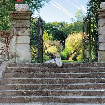 Hotel Le Chateau De Failloux
