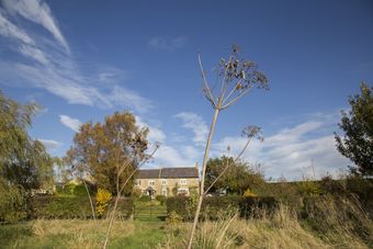 Bed & Breakfast Pry House