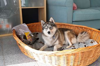 Apartamentos Holidayhaus L�tsche - Borzelborn