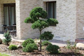 Apartamentos Simply Relax