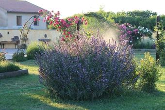 Agroturismo Agriturismo Il Cardoncello
