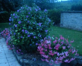 Hotel Chambres D'hotes La Chaumiere