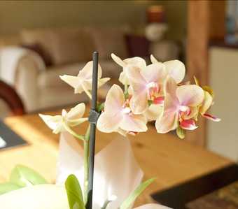 Old Hall Country Breaks