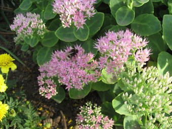 Modern Holiday Home In Boitin Germany Near Lake