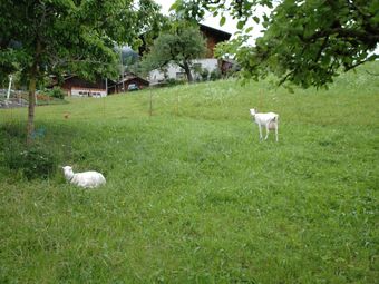 Cosy Ground Floor Apartment With Privat Terrace And Great Views