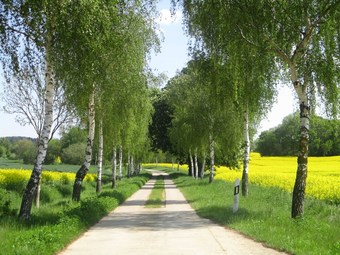 Cozy Apartment In Kr�pelin Germany Near Sea