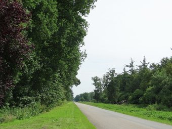 Luxurious Farmhouse In Rutten With Large Terrace