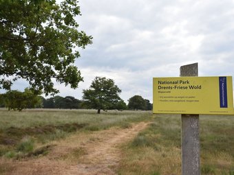 Detached, Characteristic, Wooden 6-person Chalet In Norg