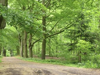 Gorgeous Riverside Chalet In Cothen