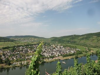 A Holiday Home For Eight People, A Stone's Throw From The River Mosel