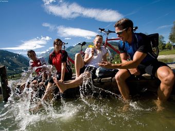 Luxurious Holiday Home In Wald In Pinzgau With Private Sauna