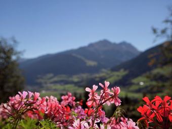 Stunning Apartment Near Forest In Mittersill