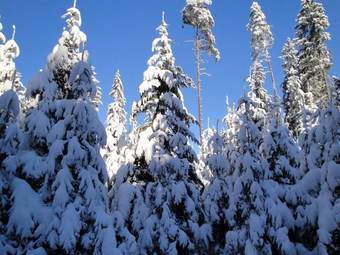 Beautiful Apartment With Sauna In Neuhaus