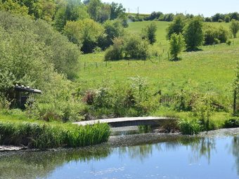 Old House In Small Hamlet, In Full Nature, With Pond, Very Calm