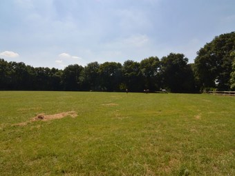 Magnificient Mansion In Peer With Spacious Garden