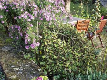 Cozy Apartment In Kaifenheim With Private Terrace