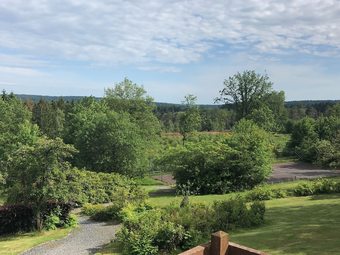 Spacious Holiday Home In Herbeumont Near Forest