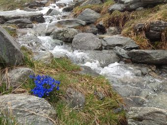 Apartment In Rennweg Am Katschberg With Garden & Parking