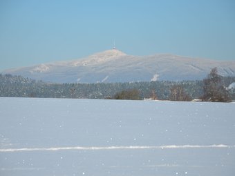 Luxury Villa Near Forest In Hlavice Czech Republic