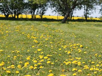 Apartment In Neuburg With Garden, Terrace, Bicycles, Heating