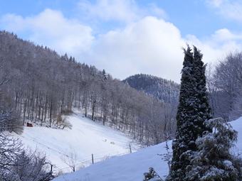 Graceful Apartment In Sieber With Swimming Pool