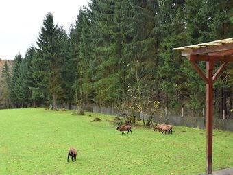 Cabana Modern Holiday Home In R�beland With A Garden