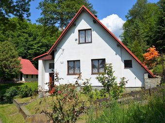 Cozy Holiday Home In ?elezn� Brod With Ski Area