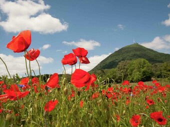 Alluring Holiday Home With Pool, Barbecue, Sun-loungers