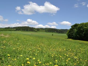 Authentic Holiday Home With Garden And Wi-fi, In Interesting Area Near Trutnov