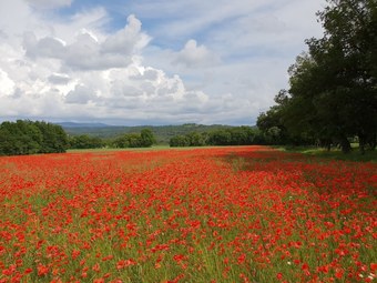 Single-storey Air-conditioned Villa With Private Pool Within Walking Distance Of Village