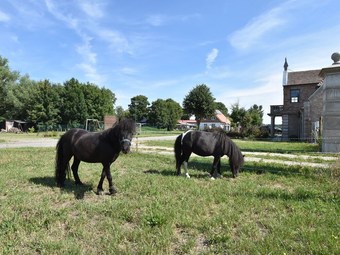 Modern Holiday Home In Detershagen With Private Terrace