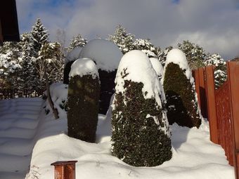 Apartamento Spacious, Comfortable 5-pers. House On The Ground Floor