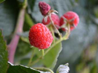 Spacious Holiday Home With Private Garden In Saint-bresson