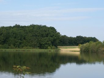 Characteristic House On Large Country Estate Near Saint Maurice-sur-aveyron