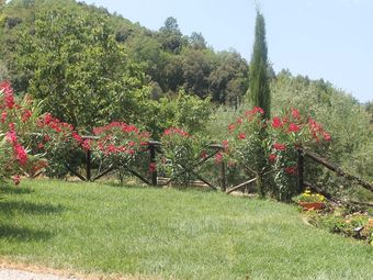 House In The Cilento With Pool And Views Of The Hills From The Large Terrace