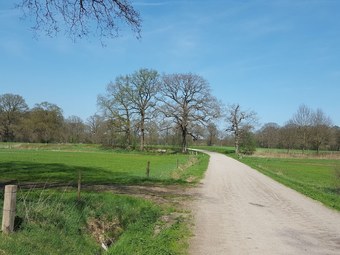 Comfortable Villa With Sauna In The Most Beautiful Area Of Overijssel