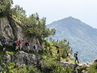 Apartments Within A Short Distance From The Gardameer