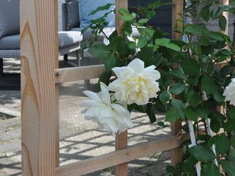 Uniquely Situated, Designer Apartment On Open Waterway Between Joure And Sneek