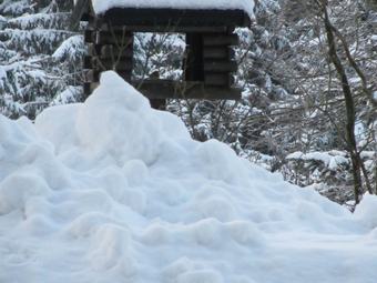 Beautiful Villa With Garden In K�stelberg