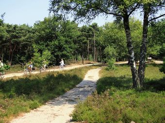 Tasteful And Nice Detached Holiday Home In The Middle Of The Forest Of Giethmen