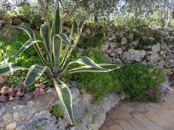 A Comfortable, Stylishly Furnished Quinta With Private Swimming Pool And Plenty Of Privacy