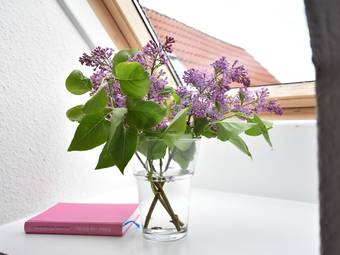 Lovely Apartment On Insel Poel Near Balic Sea