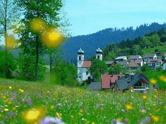 Exquisite Apartment In Bad Rippoldsau-schapbach With Parking