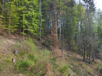 Lovely Group House Near Winterberg With Private Sauna, Garden And Terrace