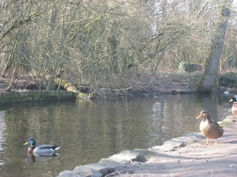 Cozy Apartment Near Oostende In Bredene