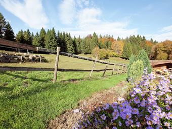 Apartment In Dachsberg With Garden, Bbq & Bar