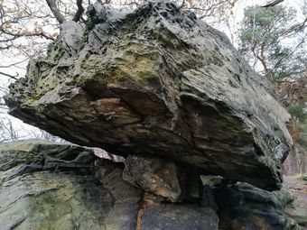 Spacious Apartment In Blankenburg Harz Near Ski Area