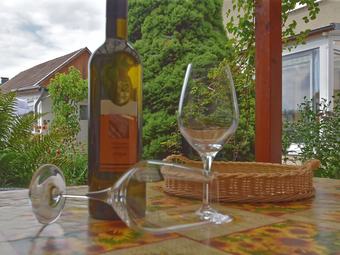 Spacious Holiday Home In Timmenrode With Terrace